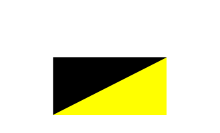 Unit Colour Patch The motto of the 10th Light Horse is:Percute et Percute Velociter (Latin: "Strike and Strike Swiftly")